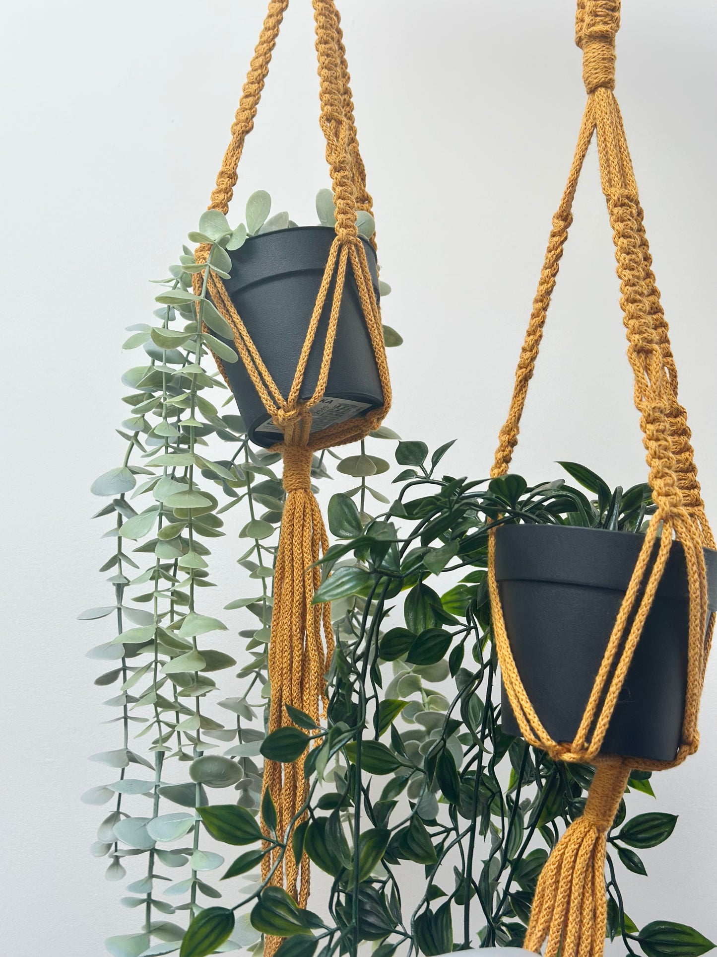 Handmade Macramè Plant Hangers